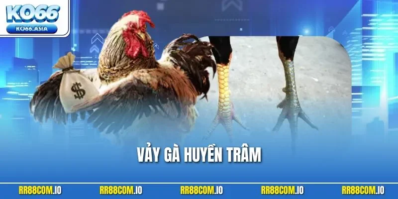 Vảy Gà Huyền Trâm| Khám Phá Thông Tin Quan Trọng Cần Nắm Bắt